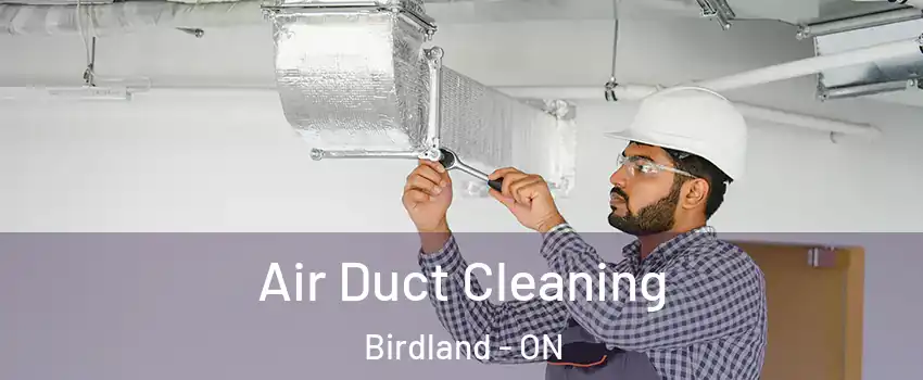  Air Duct Cleaning Birdland - ON