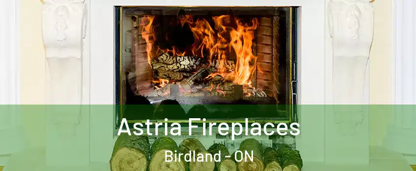  Astria Fireplaces Birdland - ON