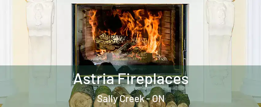  Astria Fireplaces Sally Creek - ON