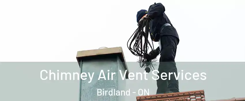  Chimney Air Vent Services Birdland - ON