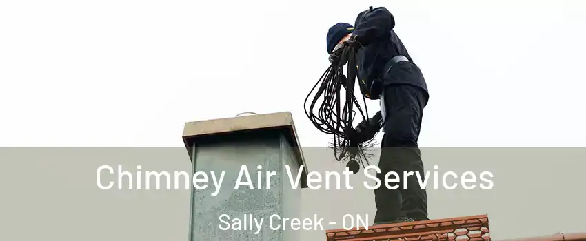 Chimney Air Vent Services Sally Creek - ON