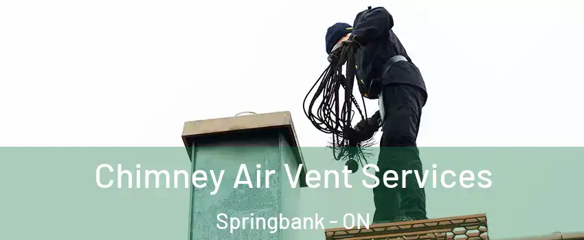 Chimney Air Vent Services Springbank - ON