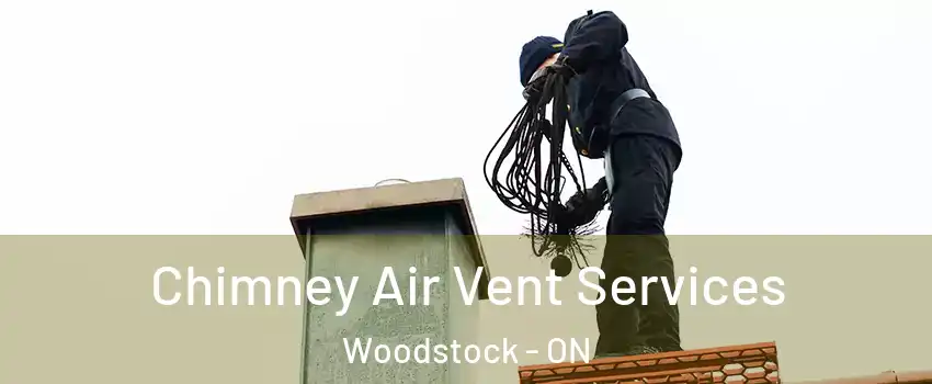  Chimney Air Vent Services Woodstock - ON