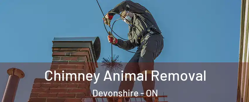 Chimney Animal Removal Devonshire - ON