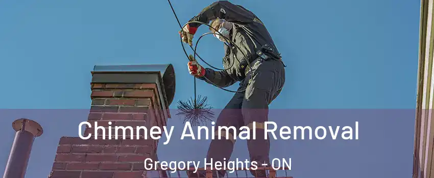Chimney Animal Removal Gregory Heights - ON