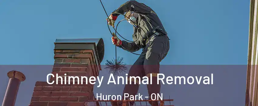 Chimney Animal Removal Huron Park - ON