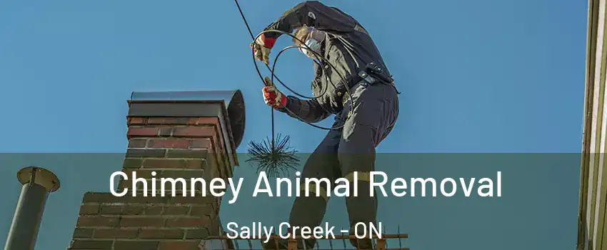 Chimney Animal Removal Sally Creek - ON