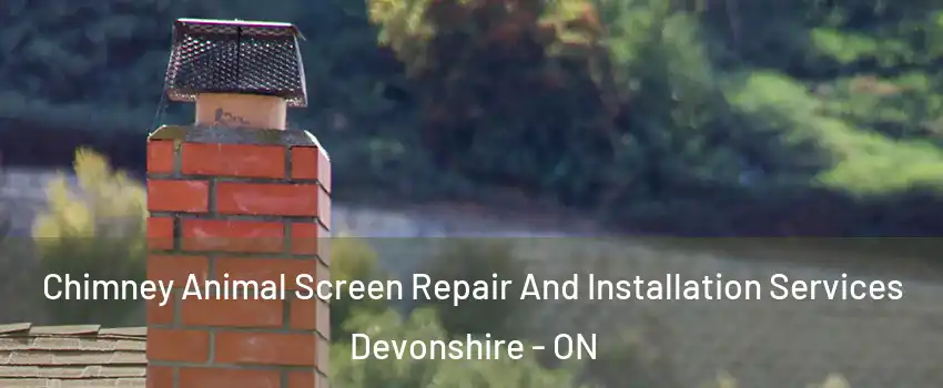  Chimney Animal Screen Repair And Installation Services Devonshire - ON