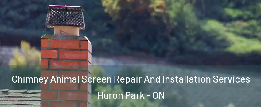  Chimney Animal Screen Repair And Installation Services Huron Park - ON
