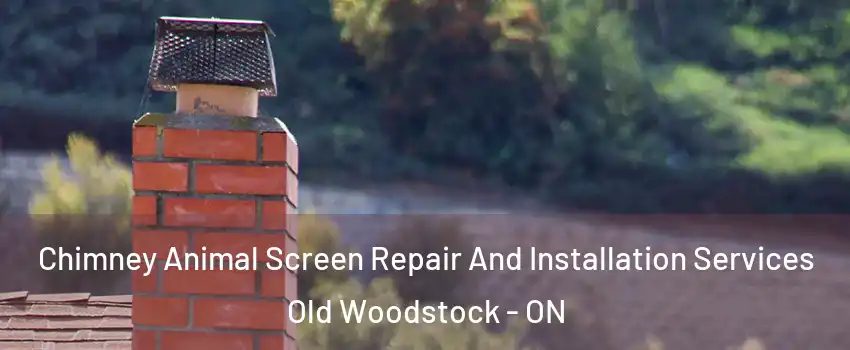  Chimney Animal Screen Repair And Installation Services Old Woodstock - ON