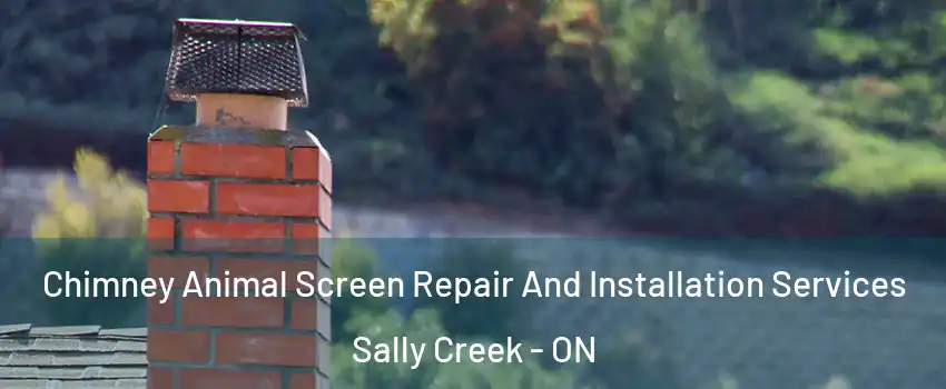  Chimney Animal Screen Repair And Installation Services Sally Creek - ON