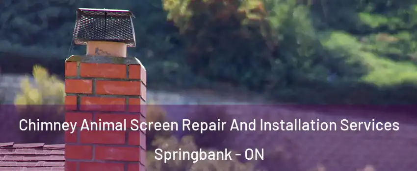  Chimney Animal Screen Repair And Installation Services Springbank - ON