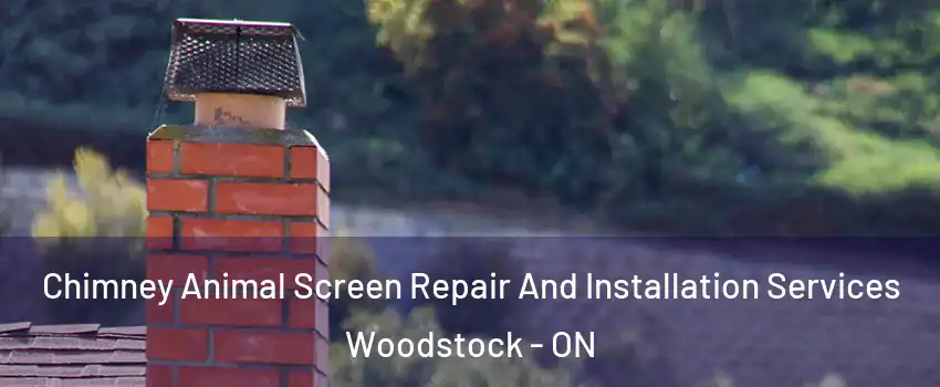  Chimney Animal Screen Repair And Installation Services Woodstock - ON