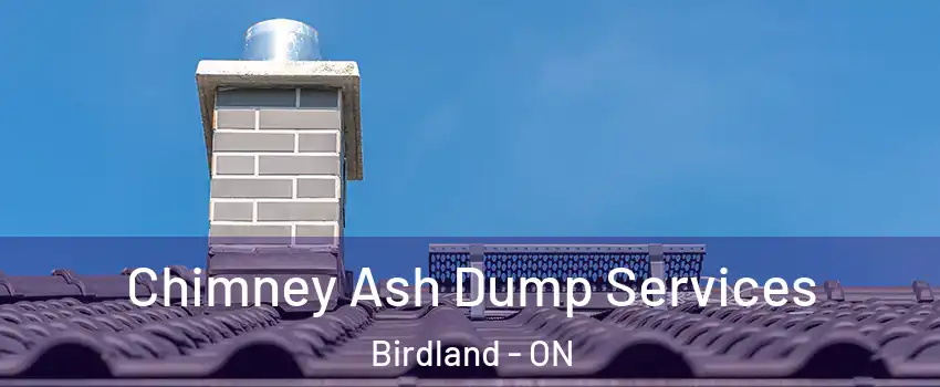  Chimney Ash Dump Services Birdland - ON
