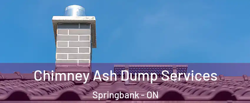 Chimney Ash Dump Services Springbank - ON