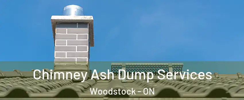  Chimney Ash Dump Services Woodstock - ON
