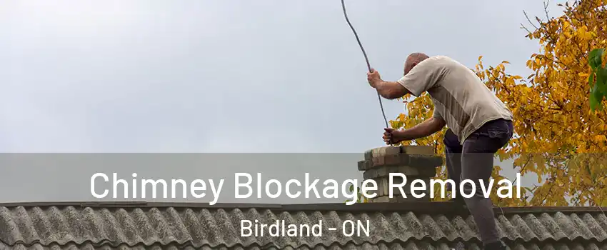  Chimney Blockage Removal Birdland - ON
