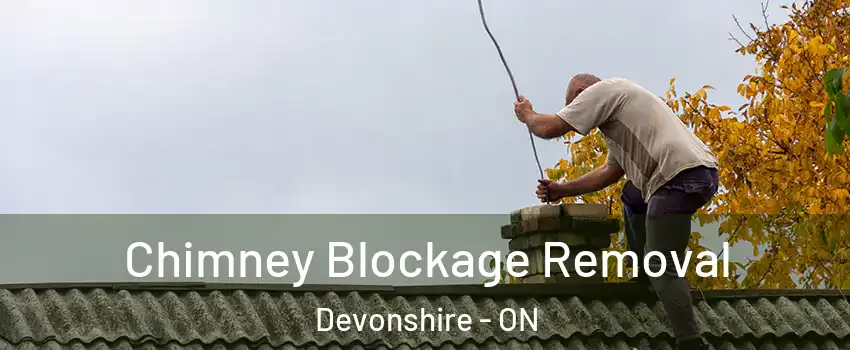  Chimney Blockage Removal Devonshire - ON
