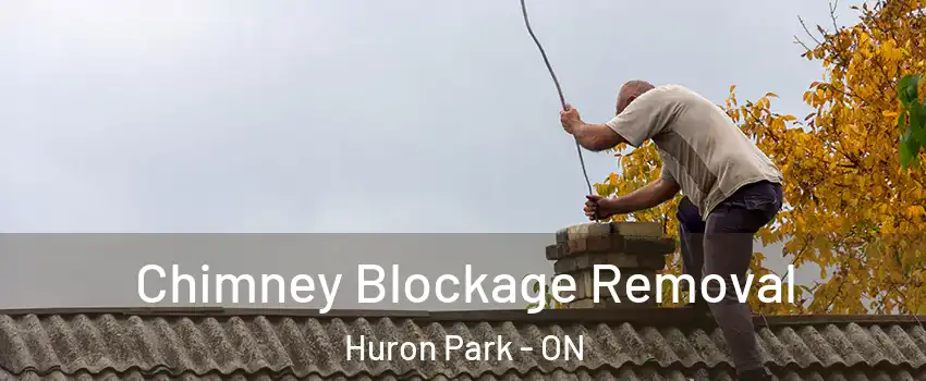  Chimney Blockage Removal Huron Park - ON