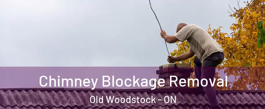  Chimney Blockage Removal Old Woodstock - ON