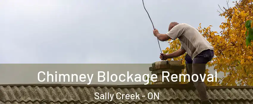 Chimney Blockage Removal Sally Creek - ON