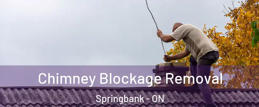  Chimney Blockage Removal Springbank - ON