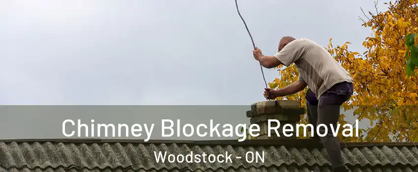  Chimney Blockage Removal Woodstock - ON