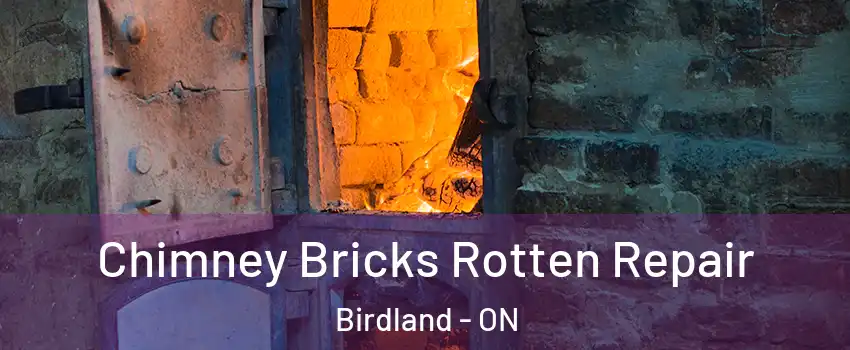  Chimney Bricks Rotten Repair Birdland - ON