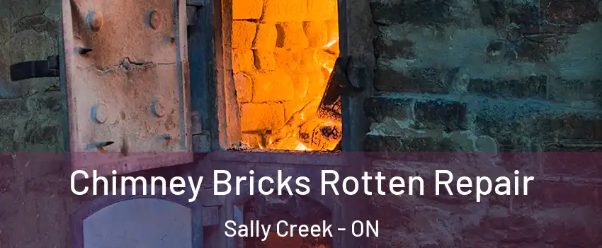  Chimney Bricks Rotten Repair Sally Creek - ON