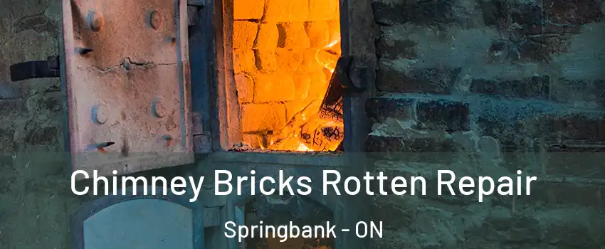  Chimney Bricks Rotten Repair Springbank - ON