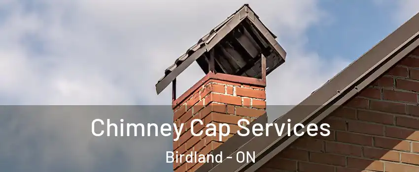  Chimney Cap Services Birdland - ON