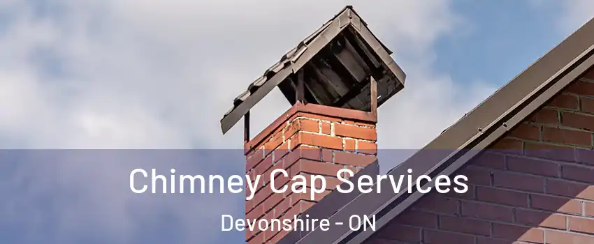  Chimney Cap Services Devonshire - ON