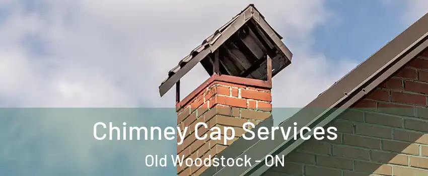  Chimney Cap Services Old Woodstock - ON