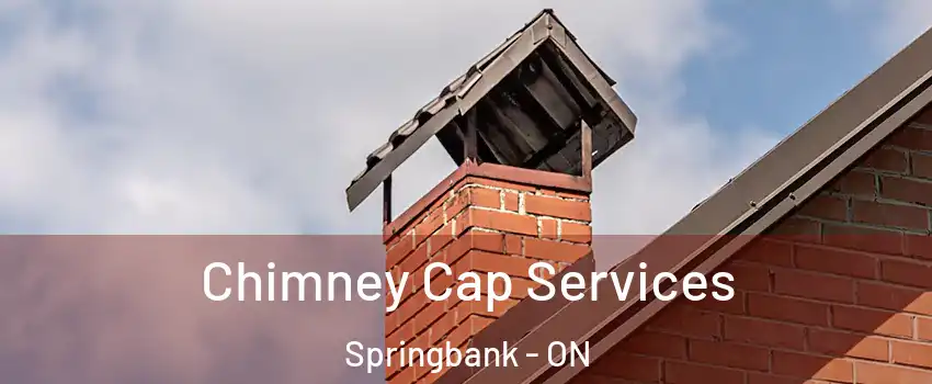  Chimney Cap Services Springbank - ON