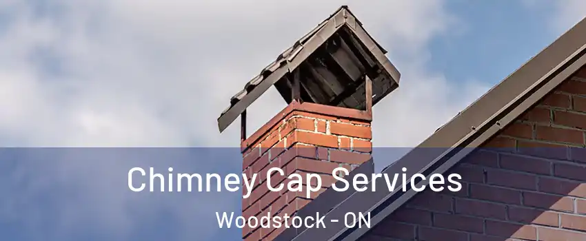  Chimney Cap Services Woodstock - ON