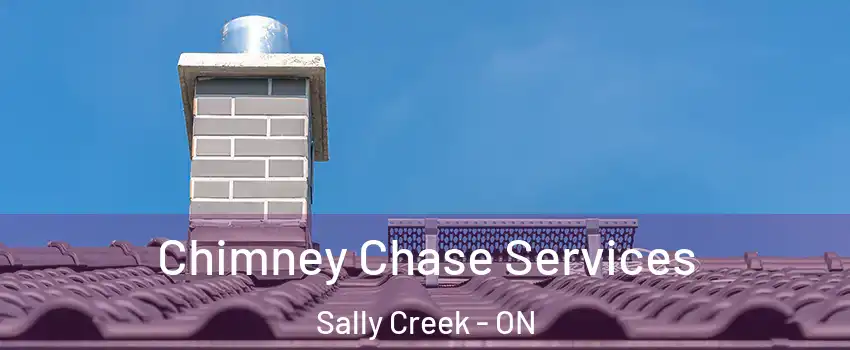  Chimney Chase Services Sally Creek - ON