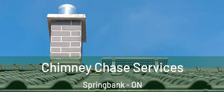  Chimney Chase Services Springbank - ON