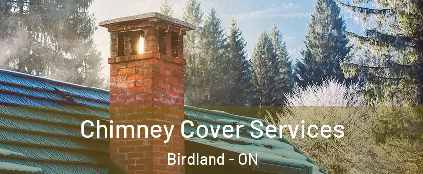  Chimney Cover Services Birdland - ON