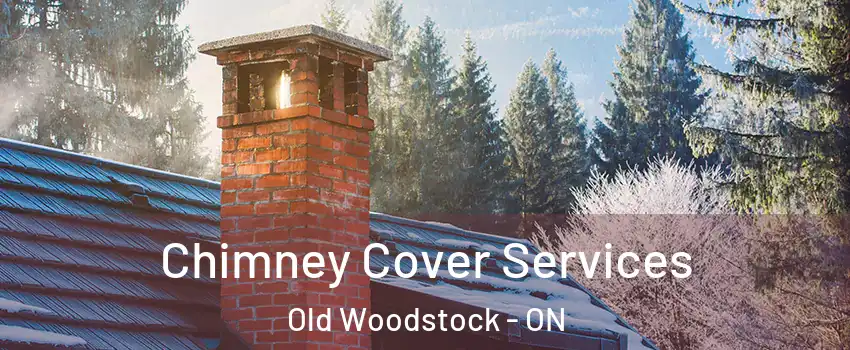  Chimney Cover Services Old Woodstock - ON