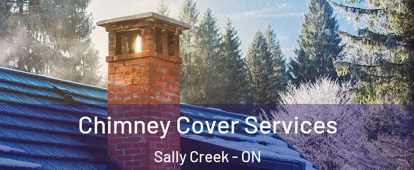  Chimney Cover Services Sally Creek - ON