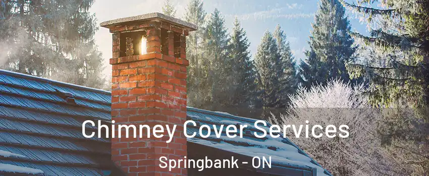  Chimney Cover Services Springbank - ON