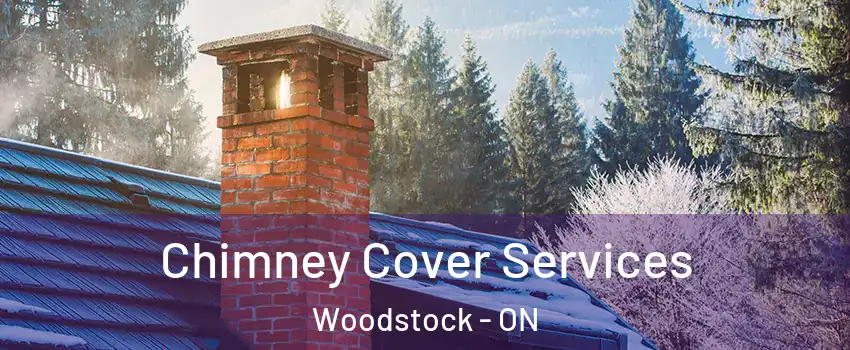  Chimney Cover Services Woodstock - ON