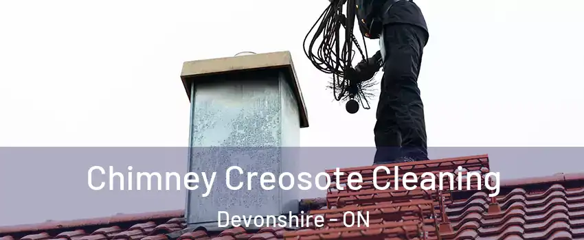  Chimney Creosote Cleaning Devonshire - ON
