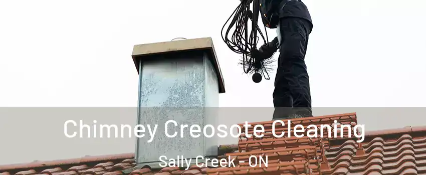  Chimney Creosote Cleaning Sally Creek - ON