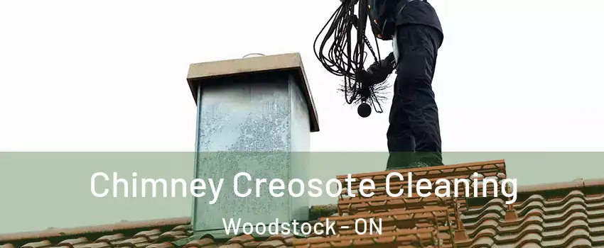  Chimney Creosote Cleaning Woodstock - ON