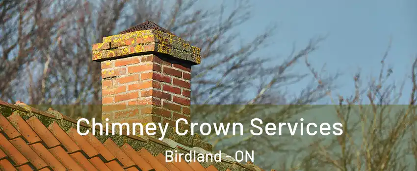  Chimney Crown Services Birdland - ON