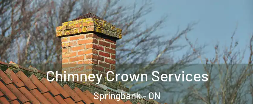  Chimney Crown Services Springbank - ON