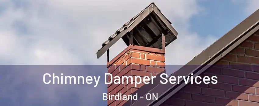  Chimney Damper Services Birdland - ON