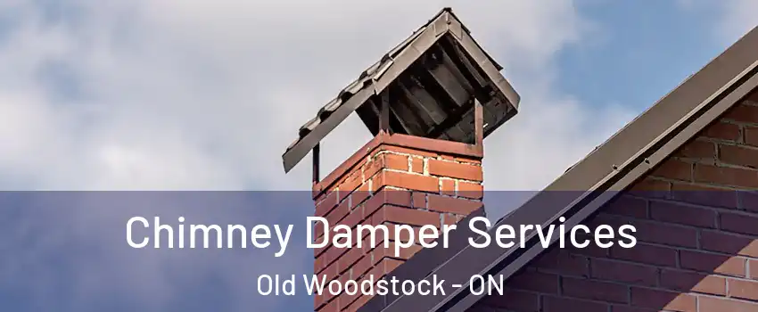  Chimney Damper Services Old Woodstock - ON