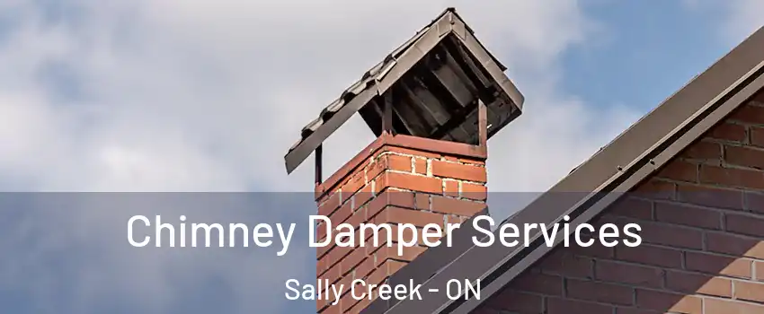  Chimney Damper Services Sally Creek - ON